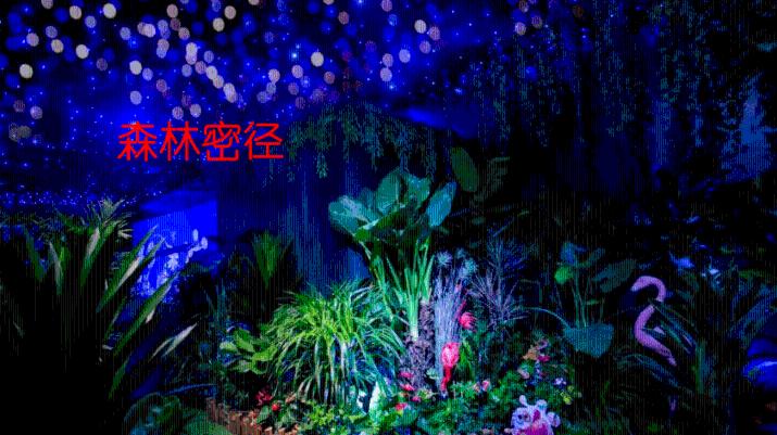 米乐米可森林大冒险
